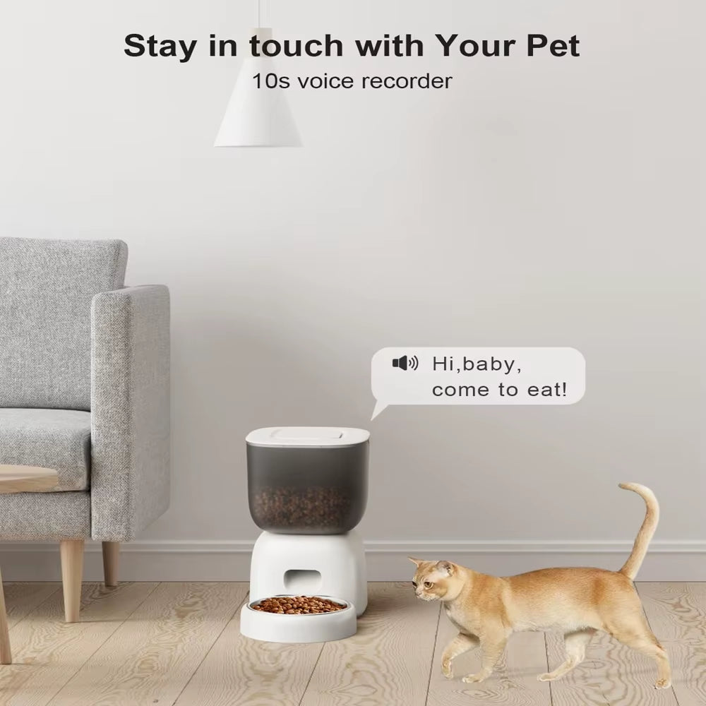 3L Automatic Pet Feeder Smart Food Dispenser Cat & Dog Timer Stainless Steel Bowl Automatic Dog & Cat Pet Feeding Pet Supplies